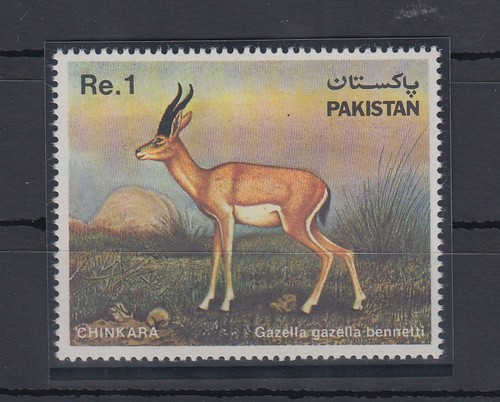 Pakistan 1983 gazelle no - pakistan,