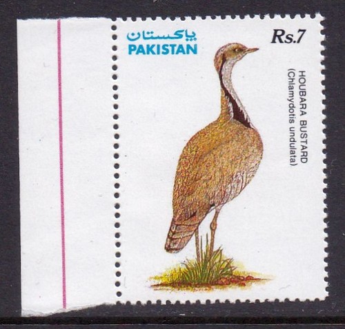 Pakistan 1991 protected - pakistan,