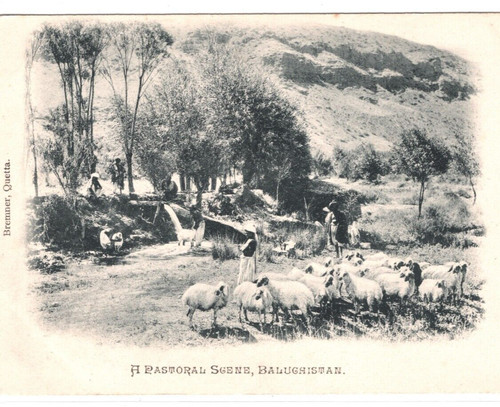 India pakistan postcard - india/pakistan,